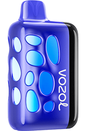 Vozol Rave 40000 Blueberry Watermelon